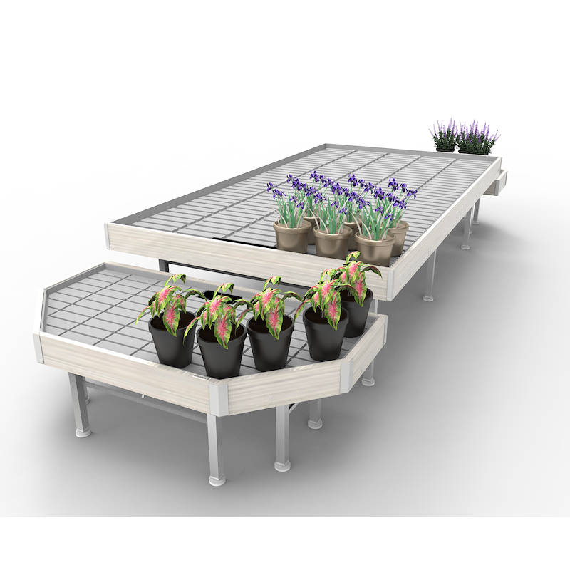 Set Promociones Linea en madera AMOR, Set expositor: ancho 1660 mm, Color: Madera blanca, Paquete: 3 Set