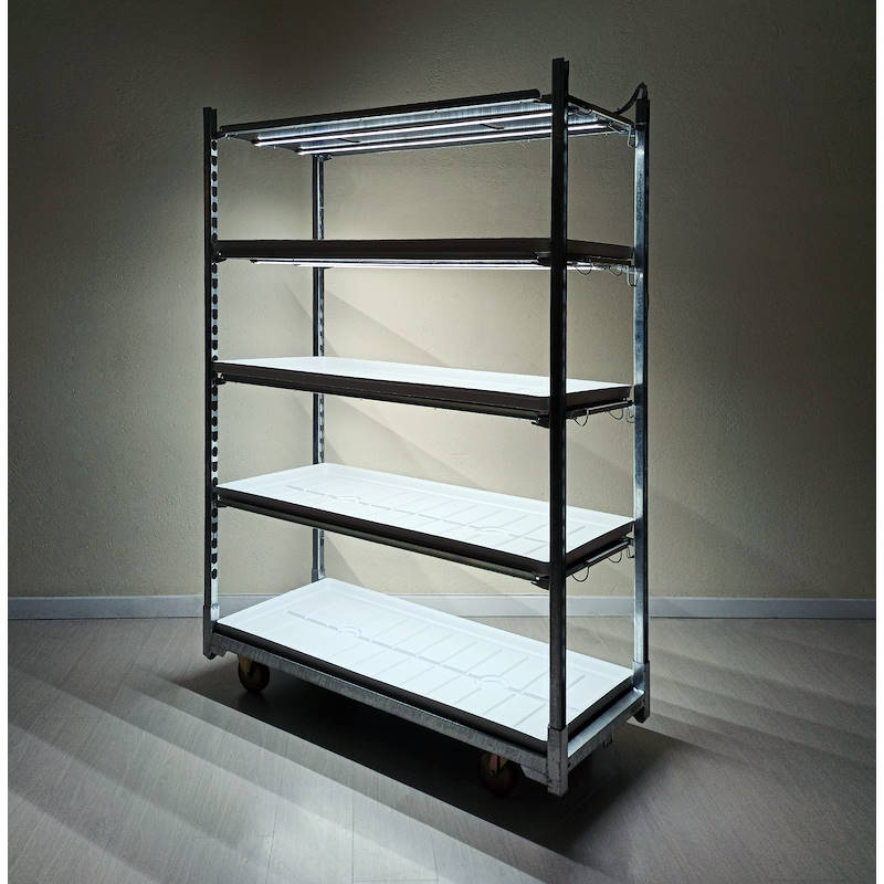 Carrito DC con kit de iluminación led para GERMINACIÓN E INJERTO, Optional: Con bandeja DC, Paquete: 6 carritos DC, Rellanos: 4 estantes con luces