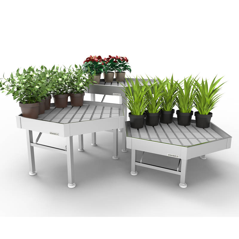 Hexagonal Display Set