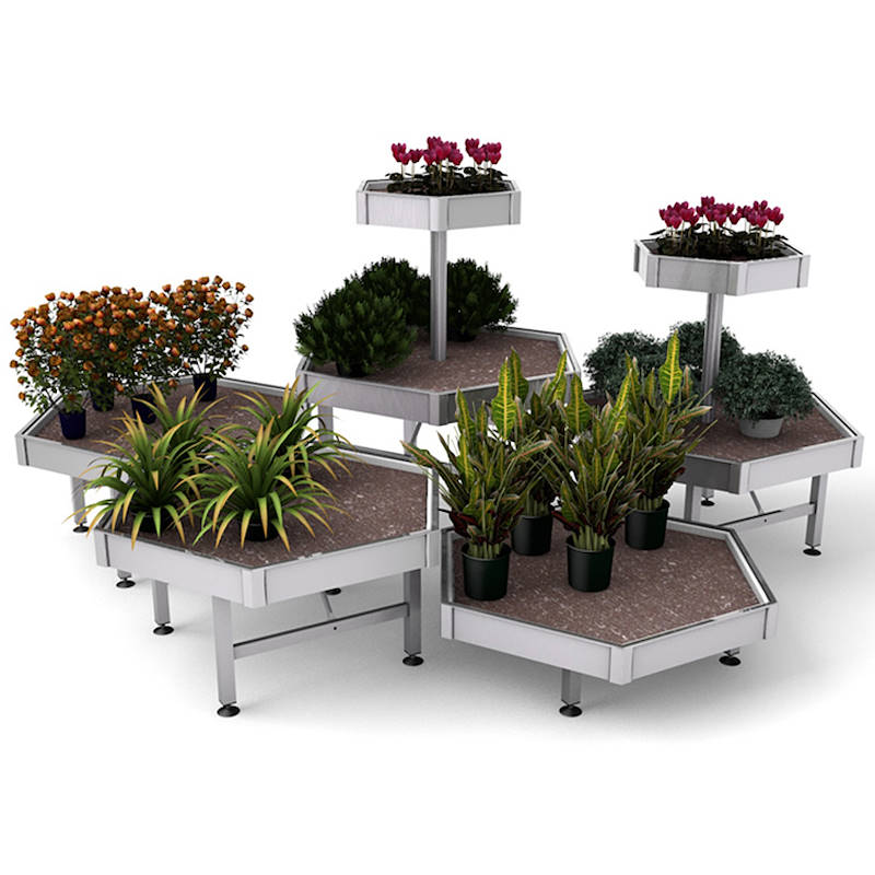 Hexagonal Display Set, Exhibition Set: Set 5 units + 2 Raised benches