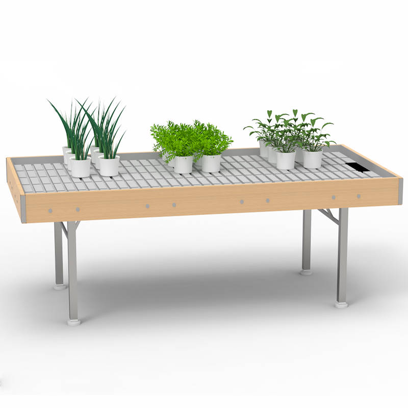 Bench, wood line AMOR, Size: 49.60" x 100.78", Height: H 29.52", Color: Natural Wood, Box: 5 units