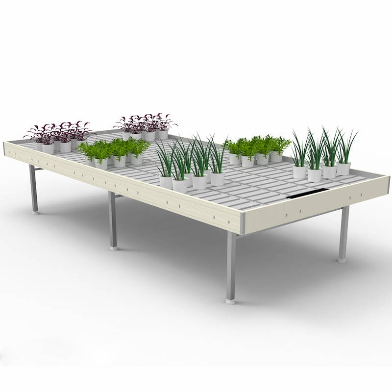 Bench, wood line AMOR, Size: 65.35" x 140.15", Height: H 29.52", Color: White wood, Box: 15 units