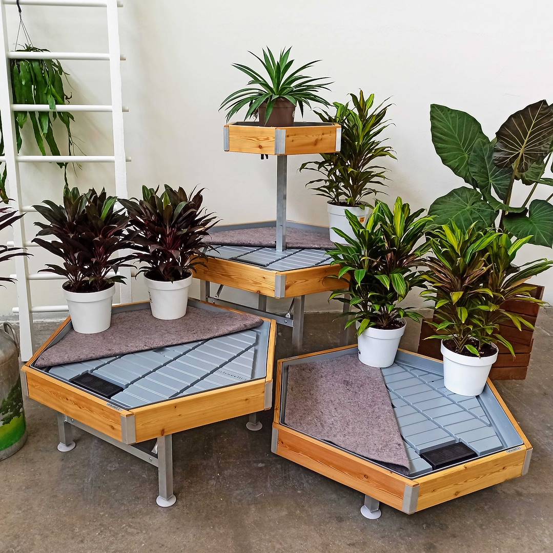 Hexagonal, wood line AMOR, Exhibition Set: Set 3 units + Raised bench, Color: Natural Wood