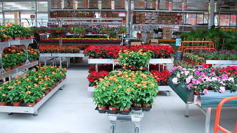 Story of success, Home Depot Messico