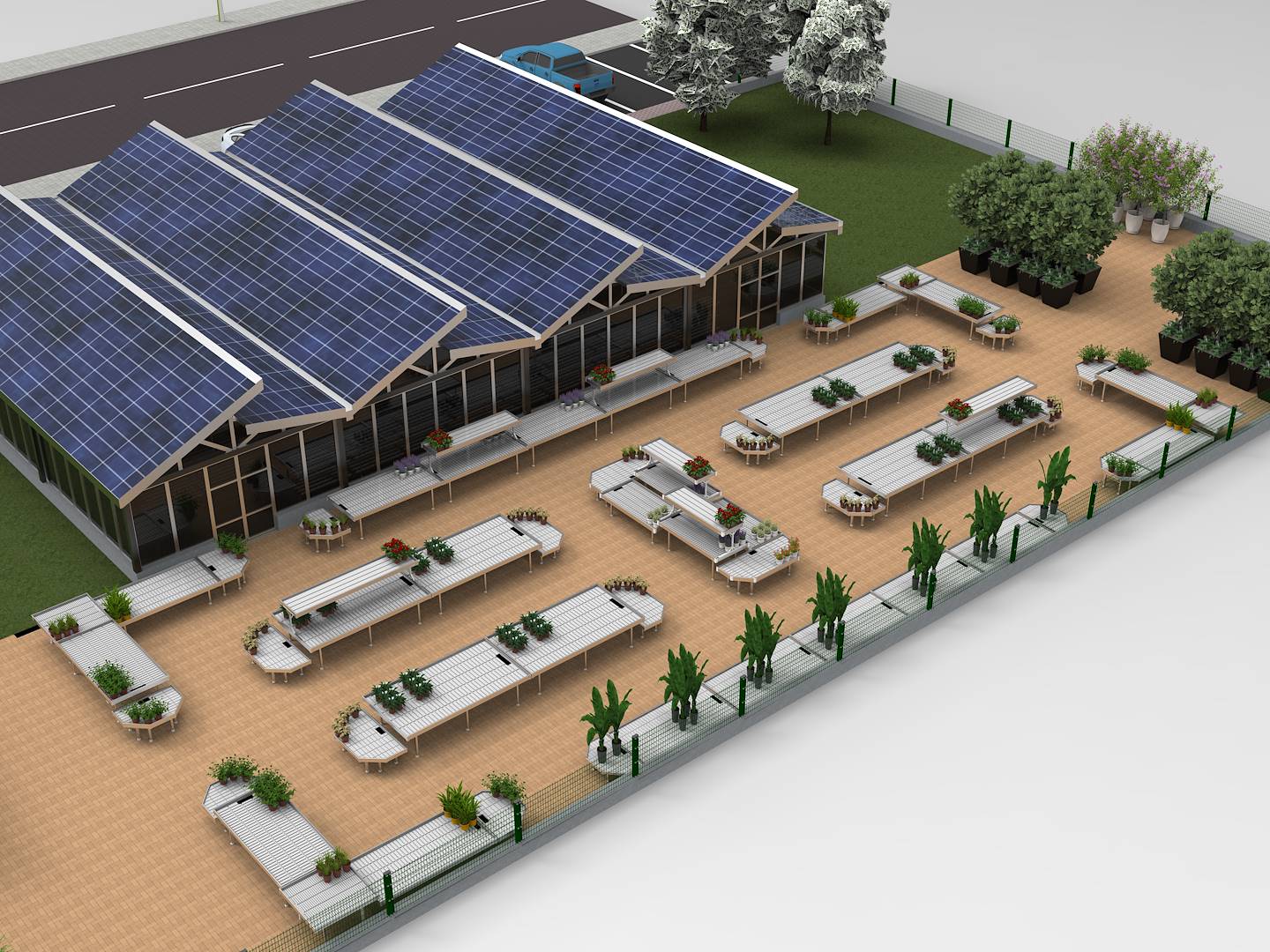 Format OUTDOOR PLANTS AREA