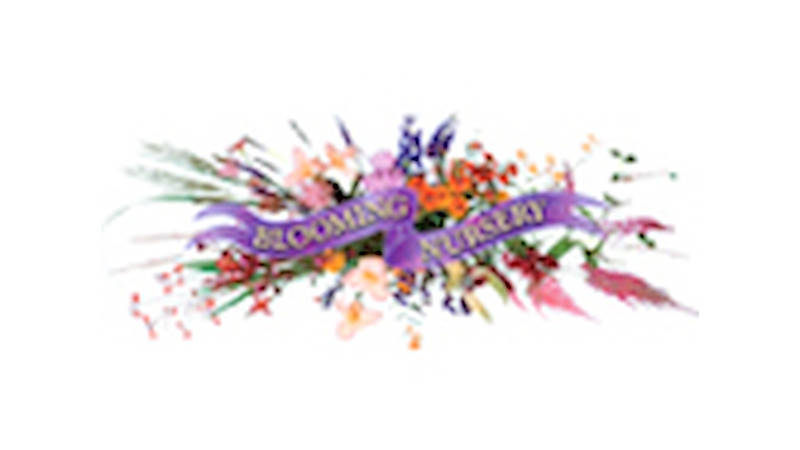 Blooming Nursery, Oregon (USA), un an après la fourniture de tables et présentoirs en aluminium