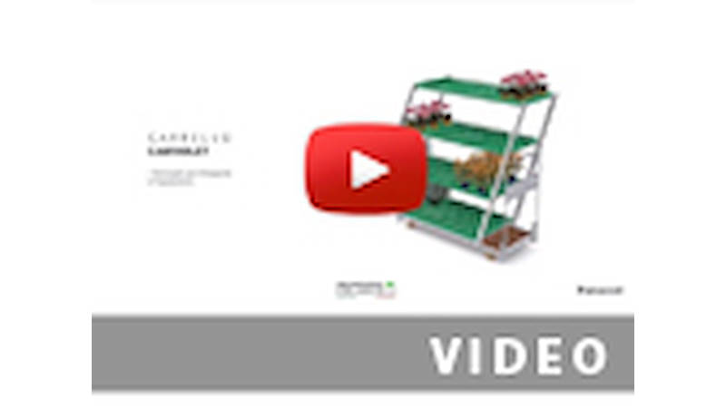 CABRIOLET CART: from transportation to exhibition in one CLICK