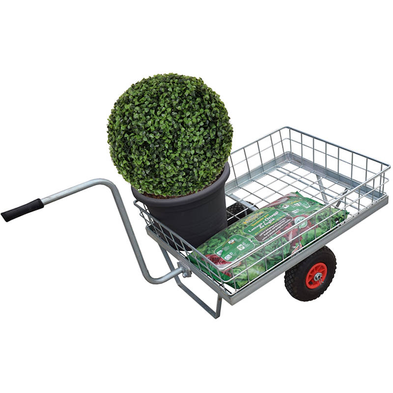 Chariot Oro, Paquet: 5 pièces