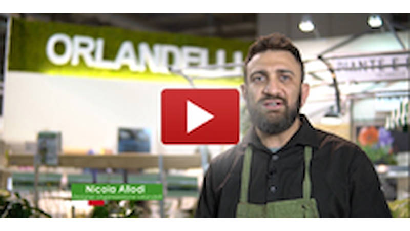 Conceptos expositivos Orlandelli