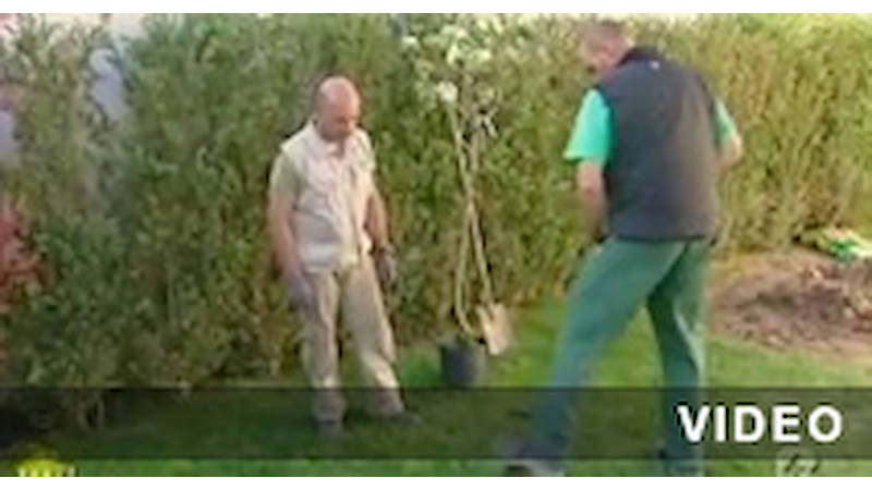 Designing Gardens Melaverde 2011