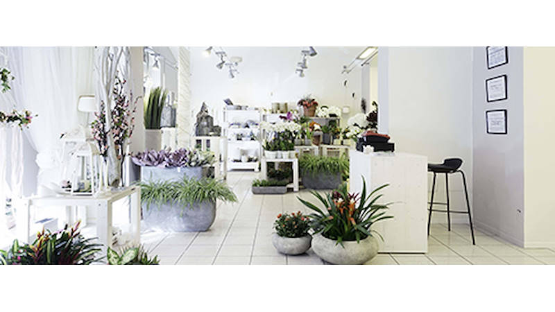 El proyecto de la tienda de flores GREEN GARDEN
