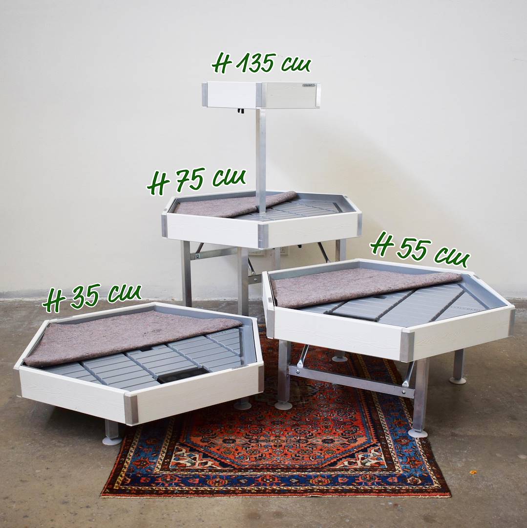Hexagonal, wood line AMOR, Exhibition Set: Set 3 units + Raised bench, Color: White wood, Box: Single