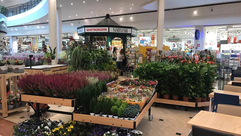 Organizzazione Orlandelli: the aesthetic value of the display area