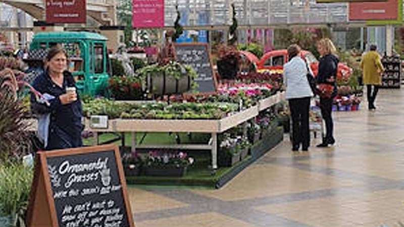 La « safe experience » client - Un nouvel élément essentiel des espaces commerciaux