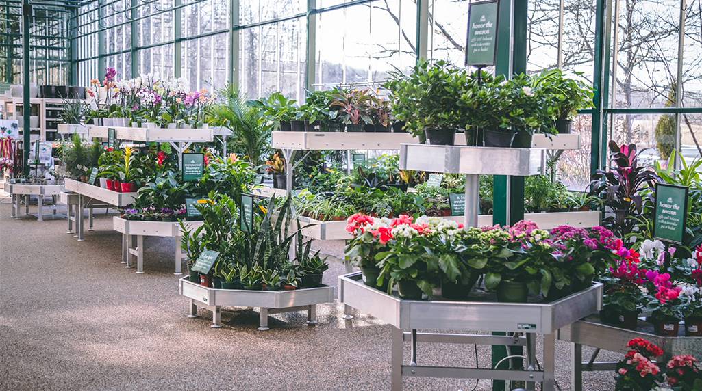 Petitti Garden Center unterstützen umweltfreundliche Produkte und Praktiken