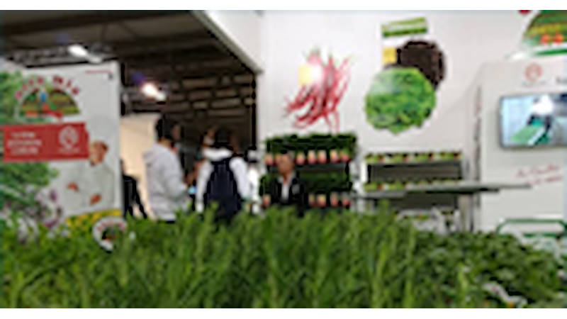 Les avantages des plantes potagères ORTO MIO proposés sur les systèmes d’exposition ORLANDELLI