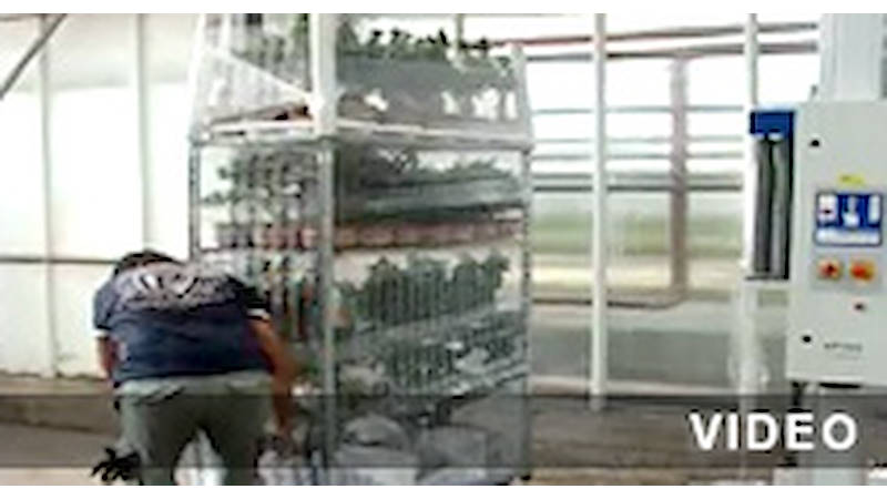 Machine bobineuse automatique pour envelopper les chariots de la floriculture