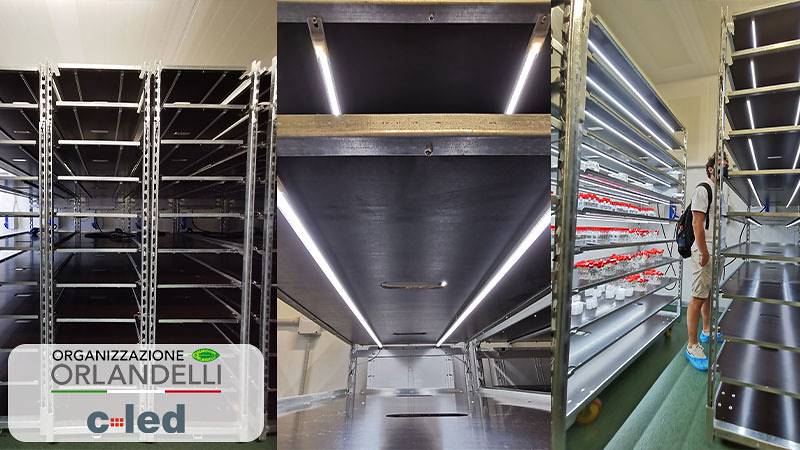 Los nuevos carritos DC con kit de iluminación C-LED