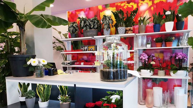 L'Oasi dei fiori de Milan fait peau neuve avec un aménagement jeune et élégant