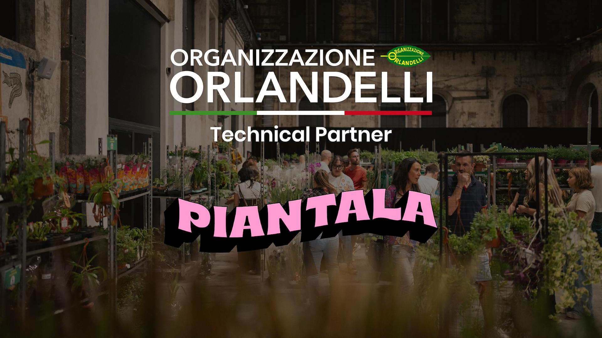 Orlandelli and Piantala: Furniture to live the urban jungle