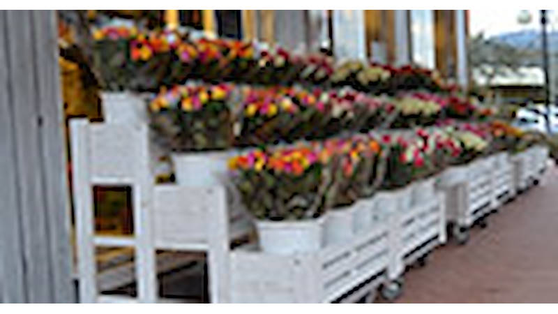 Realizzazione negozio “Fiori Fiori” – Borgo Buggiano