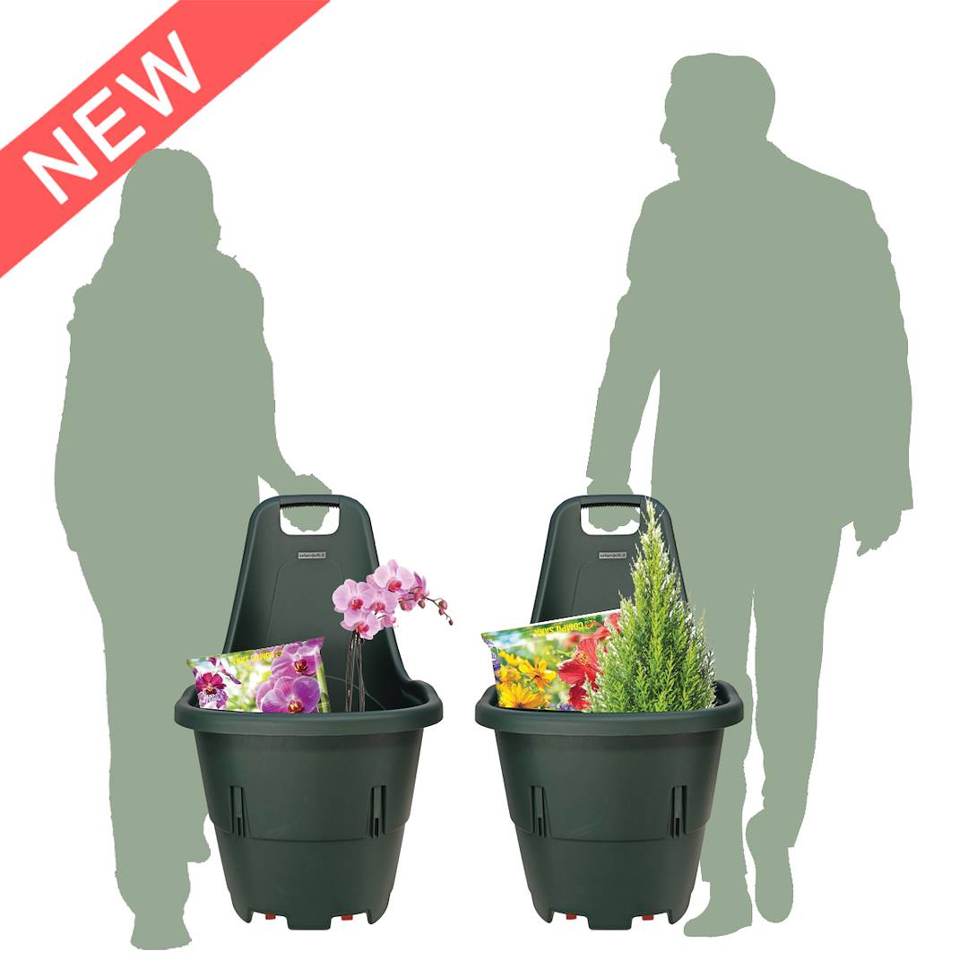 Shopping basket with wheels "Shop&Go", Box: 20 units
