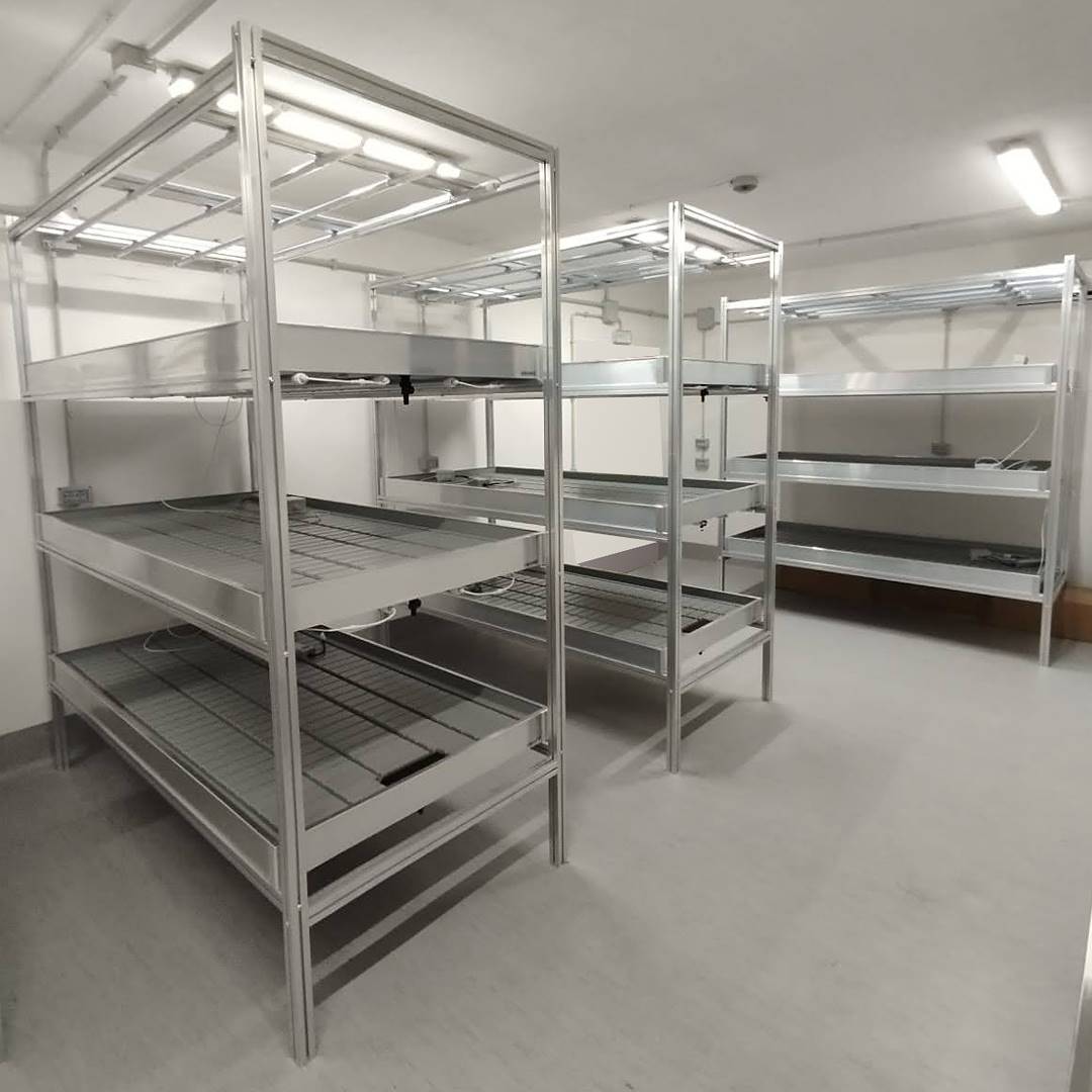 système d'agriculture verticale, Kit LED: 4 lampes par étagère, Format: 3 étagères, Dimension: 1025 x 2055 mm