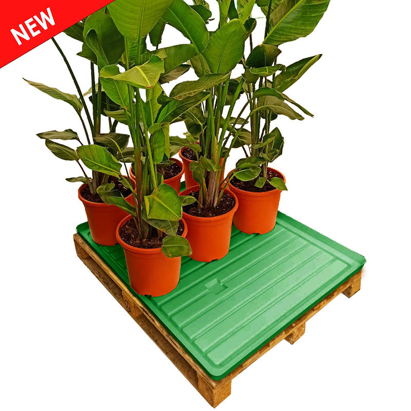 Water tray for GMA pallets