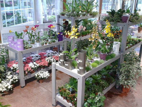 JARDIDEA, il nuovo Garden Center a pochi passi da Madrid