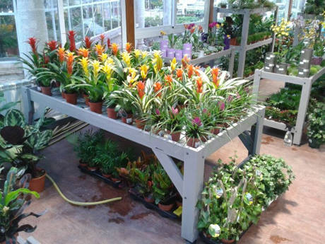 JARDIDEA, a new Garden Center close to Madrid, Spain