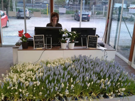 JARDIDEA, a new Garden Center close to Madrid, Spain