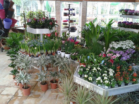 JARDIDEA, a new Garden Center close to Madrid, Spain