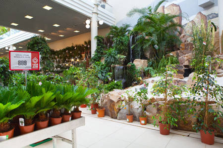 Fourniture pour Jardinerie en Russie, TVOY DOM