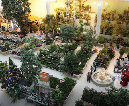 Supply for a Garden Center in Russia, TVOY DOM 