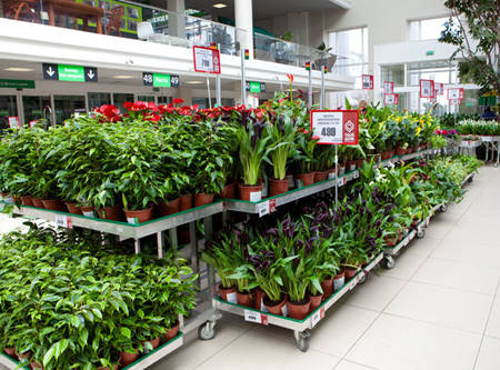 Ausstattung eines Gartencenters in Russland, TVOY DOM