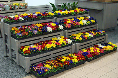 Plants and flowers shop in Palazzolo (BS)