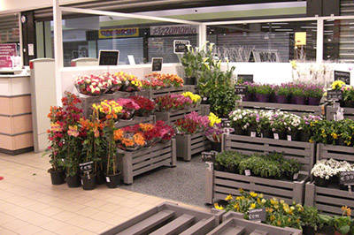 Plants and flowers shop in Palazzolo (BS)