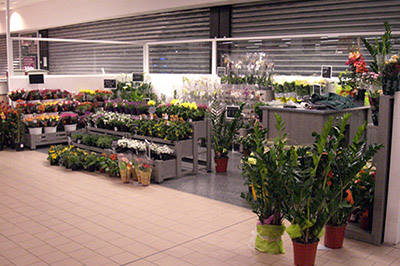 Plants and flowers shop in Palazzolo (BS)