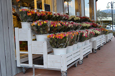 Realizzazione negozio “Fiori Fiori” – Borgo Buggiano