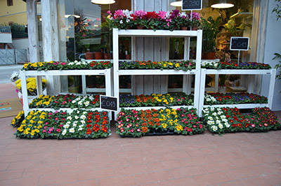 Réalisation magasin "Fiori Fiori" - Borgo Buggiano