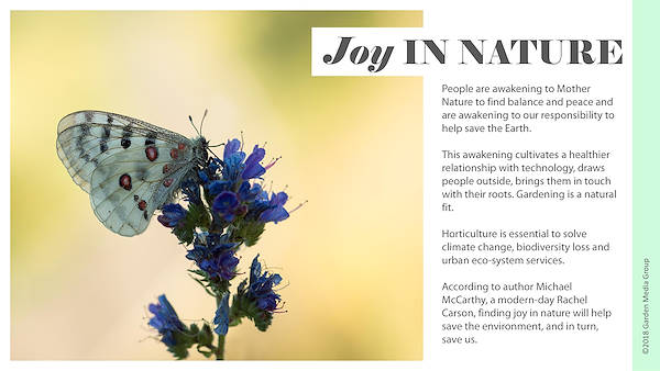 Pag 7 / 49 - GTR 2019