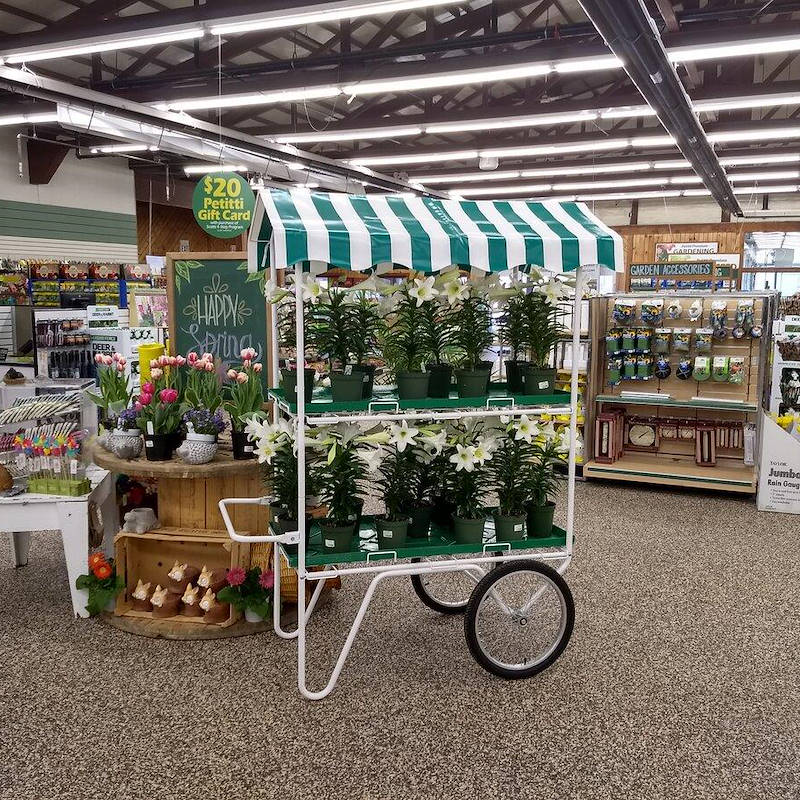 Display trolley