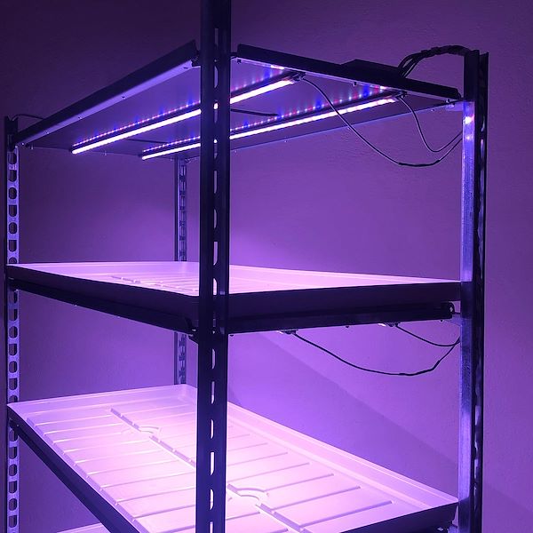 Lampes LED Slim - Microgreens