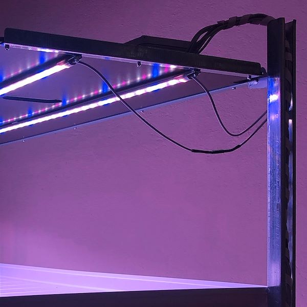Lampes LED Slim - Microgreens