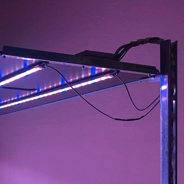 DC trolley with LED lights kit for MICROGREENS - 8 lamps