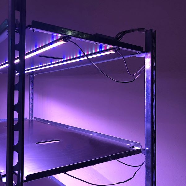 DC trolley with LED lights kit for MICROGREENS - 8 lamps