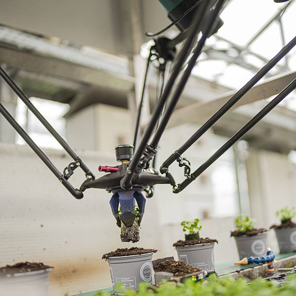 High-Efficiency Greenhouse Collaborative Robot
