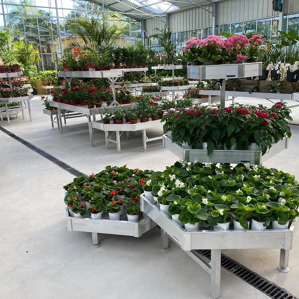 Hexagonal Display Set