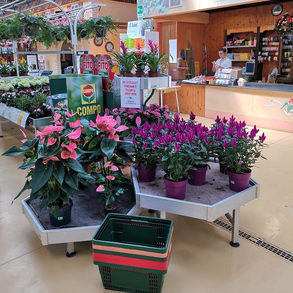 HEXAGONE: set d'exposition