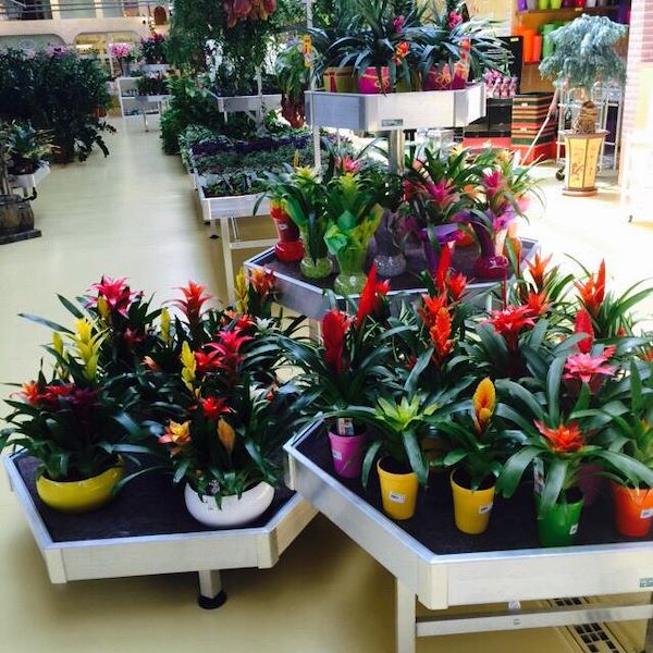 HEXAGONE: set d'exposition